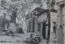 Αναδιαβαίνει το πουλί