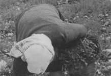 Αχ Μανιώ μου