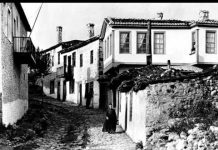 Δέντρο είχα στην αυλή μου