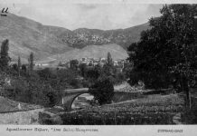 Μακρυνίτσα