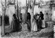 Άσπρη κατάσπρη ζαμπακιά