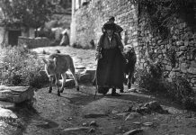 Αγρινιώτισσα