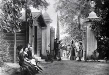 Βασιλικέ μου τρίκλωνε