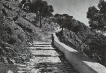 Δέλβινο και Τσαμουριά