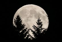 Τι ωραίον φεγγαράκι