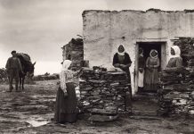 Ψαράκια τηγανίζεις