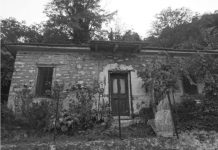 Βάτους κι αγκάθια