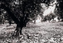 Πότε να ‘ρθή η άνοιξη