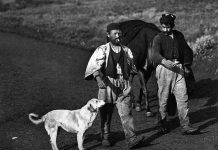 Γ’ εις κυνηγός