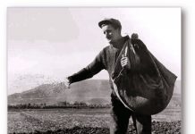 Βοσκέ-βοσκέ