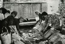 Αχ αηδόνια να μη λαλήσετε