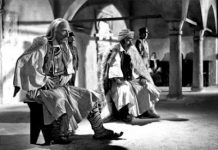 Οι Κολοκοτρωναίοι