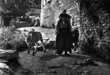 Η αγάπη μήλο μου ‘στειλε