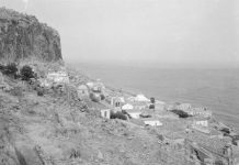 Λουλούδι της Μονεμβασιάς