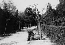 Μη με κοιτάς που γέρασα