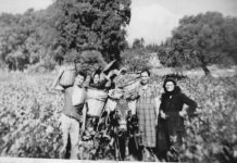 Μπαίνω μες τ’ αμπέλι