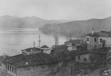 Μπουλονάσαινα