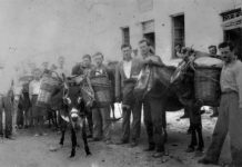 Ξενίτης και πραματευτής