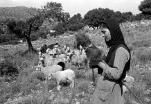 Μια ωραία βοσκοπούλα