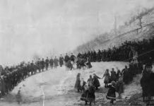 Όλα τα πουλάκια