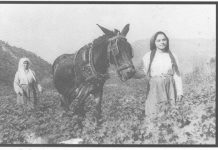 Πάμε στο λόγγο