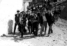 Πετροπέρδικα