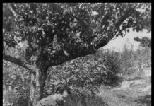 Σήμερα Γιώργη ‘μ Πασχαλιά