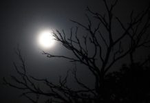 Με το φεγγάρι περπατώ