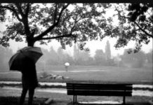 Σε περιβόλι μοναχός