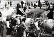 Κανελόριζα