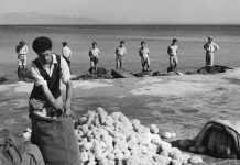 Ο μηχανικός