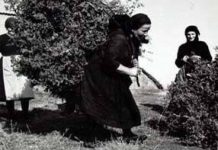 Στέλλα μωρ’ Στέλλα