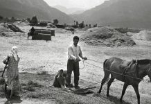 Τι να σου κάνω Χάιδω μου