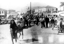 Τρεις περδικούλες κάθονταν