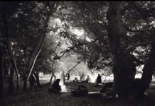 Μια Σμυρνιά στο παραθύρι