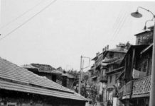 Τούτε φιάτιλε