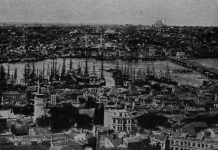 Άσπρο μου τριανταφυλλάκι