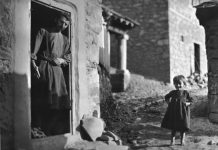 Τρανταφυλλένη