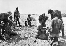 Το τέρτιν της καρτούλλας μου