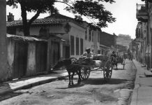 Στην Κοξαρέ