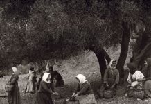 Ερωτόκριτος (Το φανέρωμα)