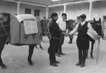 Όνειρα μελαγχολικά