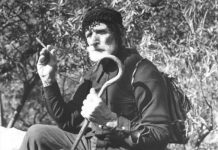 Μια χωριανή μου πέρδικα