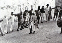 Τα πουλιά του Μάη