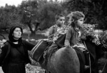 Γράμμαν μη στειλς με