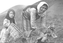 Η μάνα εν κρύο νερό